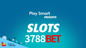 3788bet.com