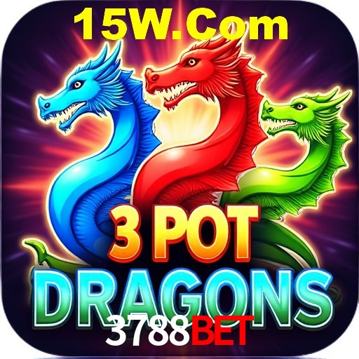 A Experiência Imersiva dos Cassinos Ao Vivo no 3788bet